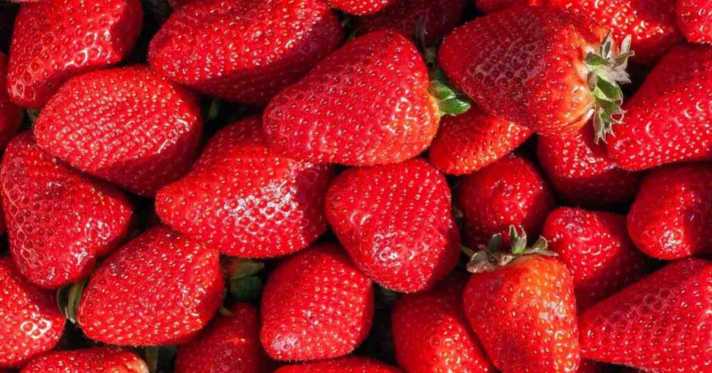 dulce-de-frutilla-receta