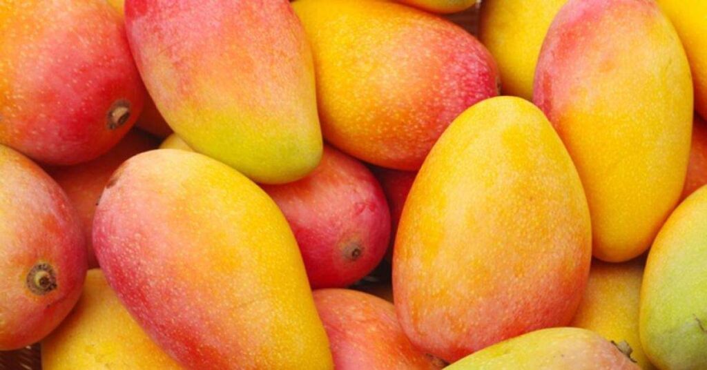 batido de naranja y mango